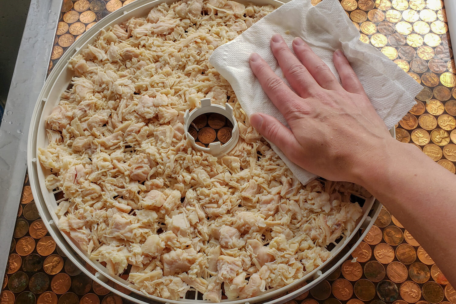 hand dabbing meat on a dehydrator