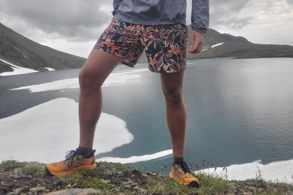 A closeup of shorts above an alpine lake.