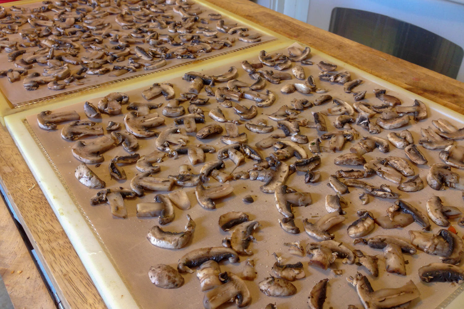 mushroom slices prepped for dehydrated on trays