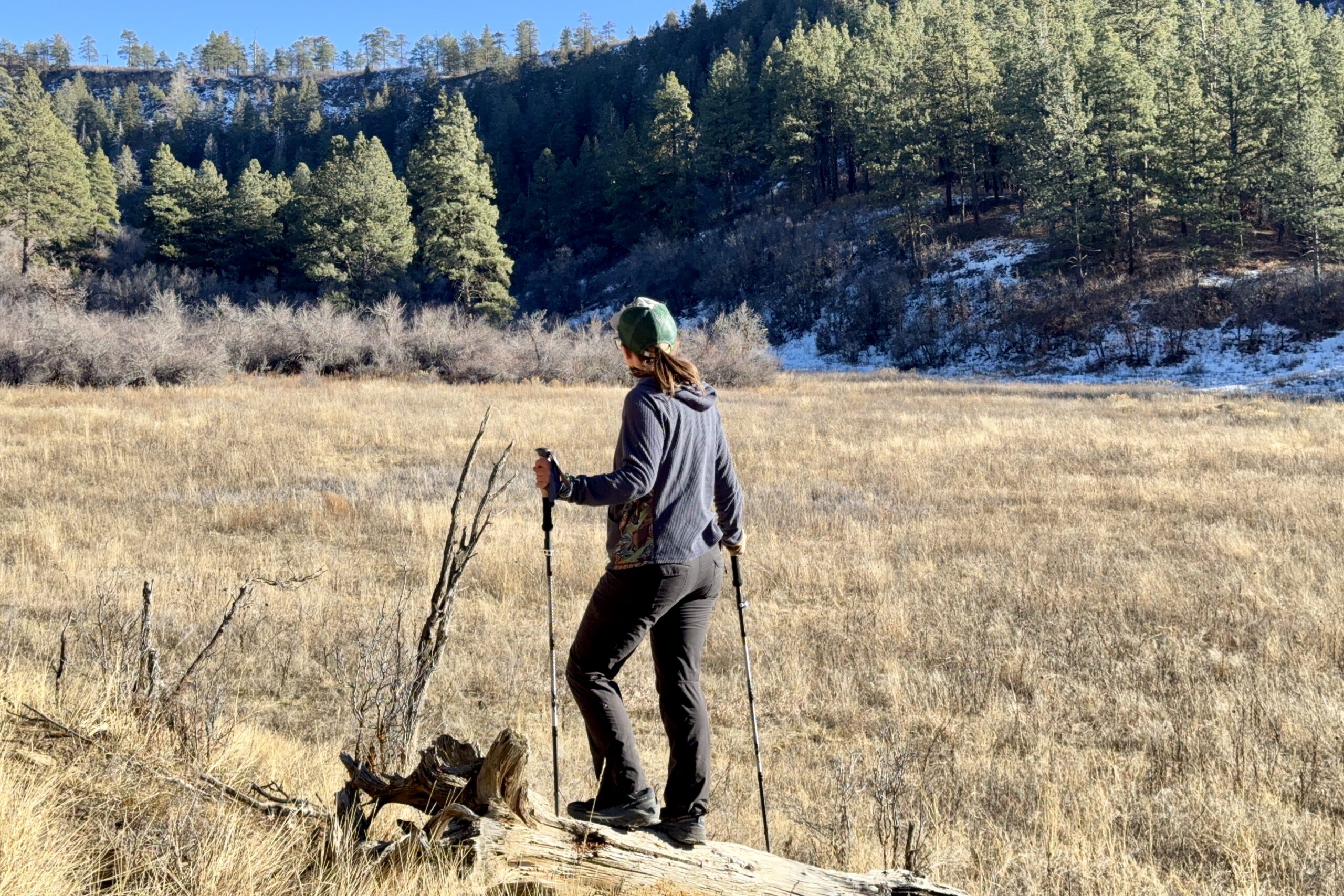 A person is standing on a log using two trekking poles to balance and looking out over a grassy meadow and the forest behind it.