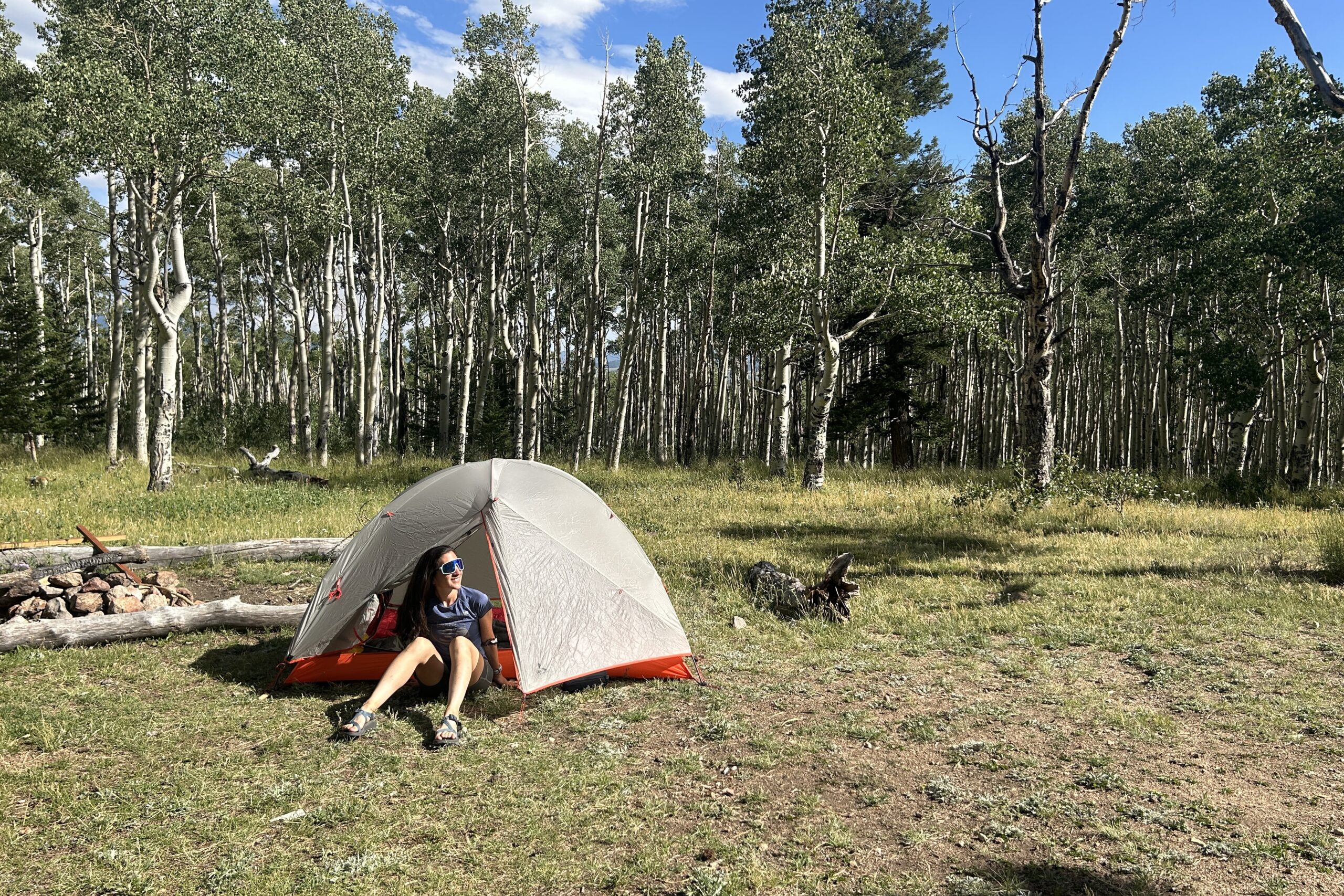 person sitting atunder the vestibule of the sligfin portal 2 next to an aspen grove