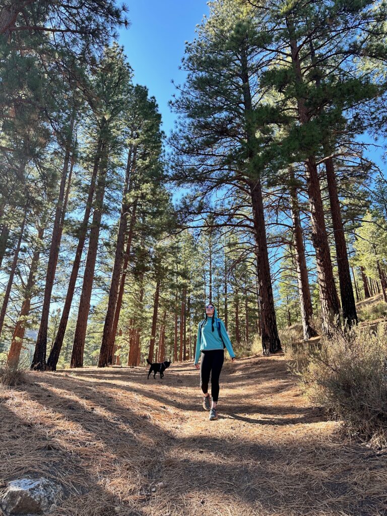 Woman hiking with dog in pine forest