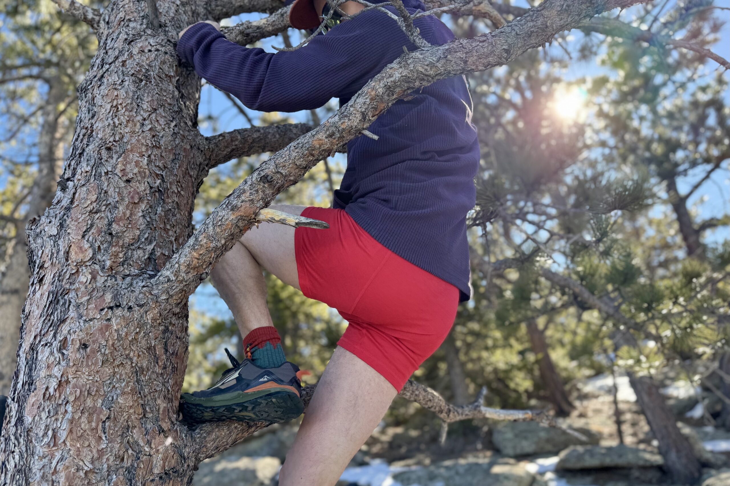 a grown man climbs a tree without wearing a pair of paints, but he dons a pair of stellar smartwool boxer briefs.