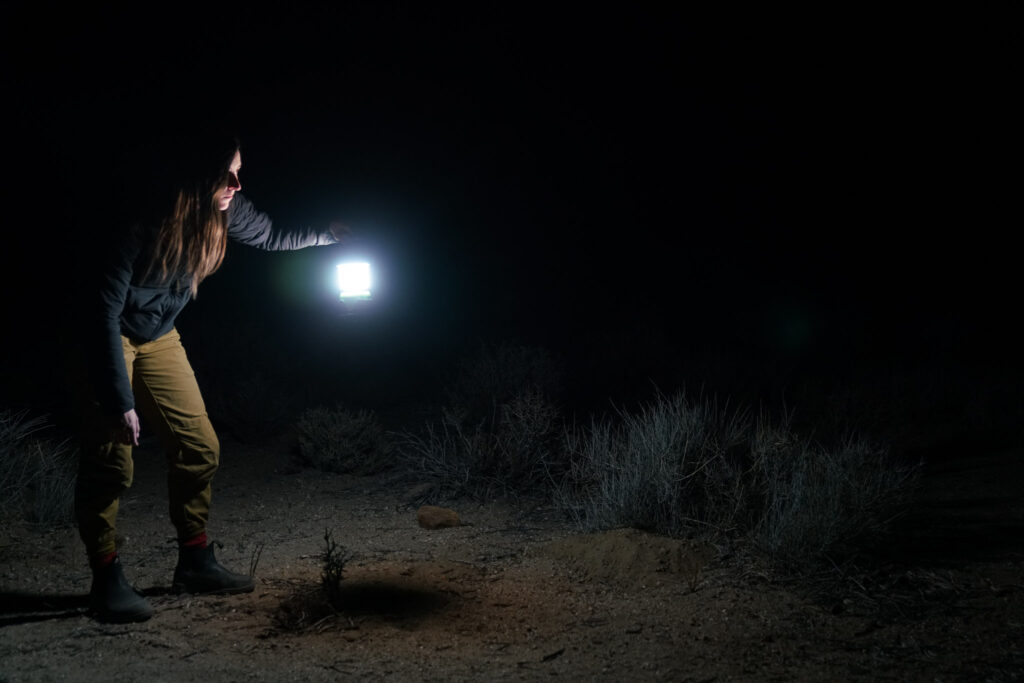 A person stands in the dark with an illuminated lantern in their hand. The background is black with the exception of a few plants lit by the lantern.