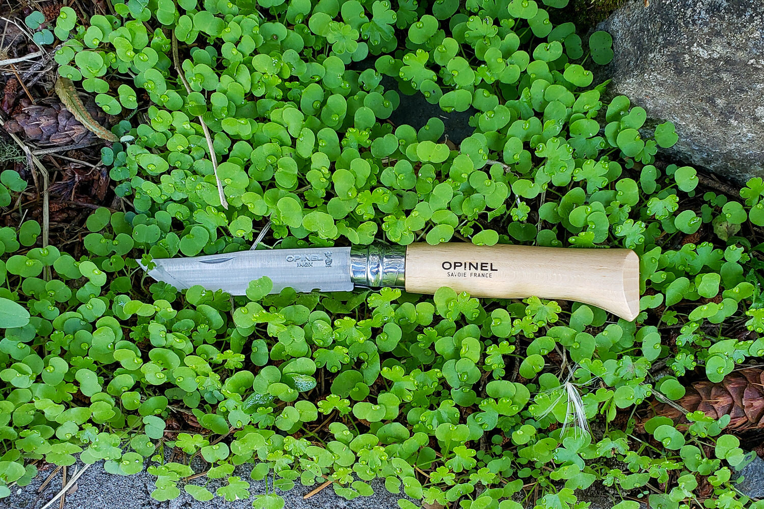 an opinel pocket knife in a bright green ground cover